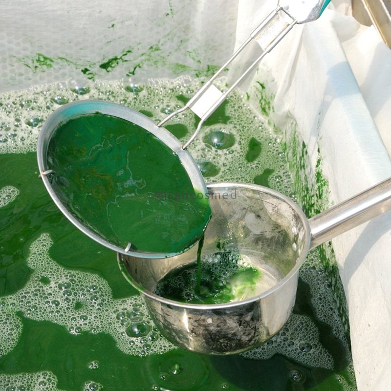 ایران کازمد handmade-organic-spirulina-algae-skin-cream-irancosmed (2)-du-2019-07-14-19-37-5086 کرم جلبک اسپیرولینا | کرم کلاژن ساز  گیاهی | ایران کازمد   