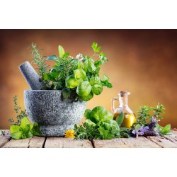 گیاهان دارویی | هدیه طبیعت که از ابتدا همراهمان بوده‌اند