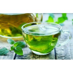 خواص دمنوش پونه کوهی | خواص معجزه آسای پنهان در دمنوش و چای پونه