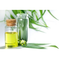 فواید روغن اکالیپتوس | همه خواص روغن اکالیپتوس-بهمن1400