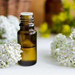 خواص روغن بومادران | خواص این روغن برای سلامت  و درمان