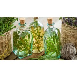 خواص روغن آویشن | برای سلامت بدن و زیبایی پوست و مو