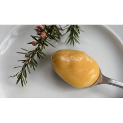 فواید عسل مانوکا | خواص، مضرات و نحوه مصرف این عسل نیوزلندی