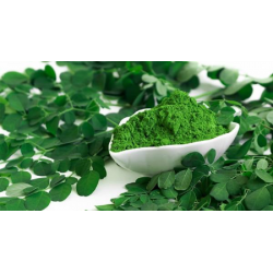 خواص گیاه مورینگا | خواص مورینگا برای سلامت، زیبایی پوست و مو