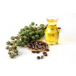 خواص روغن کرچک | فهرستی از فواید کرچک برای سلامتی و زیبایی-بخش1