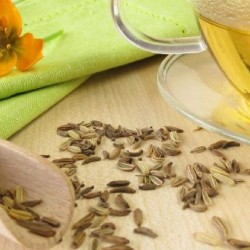 خواص رازیانه |  تمام فواید رازیانه برای سلامتی