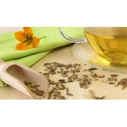 خواص رازیانه |  تمام فواید رازیانه برای سلامتی