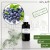 اسانس بلوبری وارداتی (Blueberry essence) 