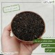 چای شکسته ممتاز گیلان (شمال ایران) - چین اول تابستان 1403 چای شکسته ممتاز گیلان (شمال ایران) - چین اول تابستان 1403