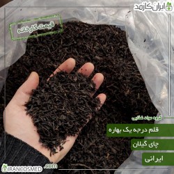 چای قلم 1 بهاره گیلان (شمال ایران) - چین اول بهار 1402 چای قلم 1 بهاره گیلان (شمال ایران) - چین اول بهار 1402