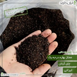 چای ممتاز بهاره گیلان (شمال ایران) - چین اول بهار 1402