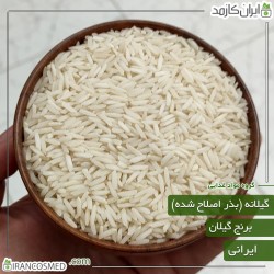 برنج گیلانه شمال (بذر اصلاح شده) برنج گیلانه شمال (بذر اصلاح شده)