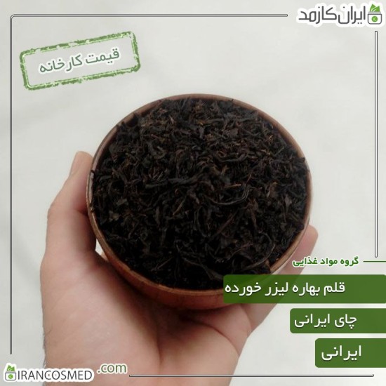 چای قلم 1 لیزری بهاره گیلان (شمال ایران) - چین اول بهار 1403 چای قلم 1 لیزری بهاره گیلان (شمال ایران) - چین اول بهار 1403