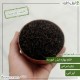 چای قلم 1 لیزری بهاره گیلان (شمال ایران) - چین اول بهار 1403 چای قلم 1 لیزری بهاره گیلان (شمال ایران) - چین اول بهار 1403