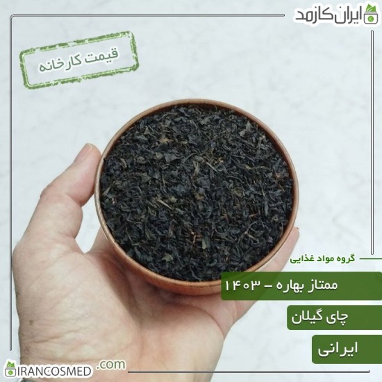 چای ممتاز بهاره گیلان (شمال ایران) - چین اول بهار 1403 چای ممتاز بهاره گیلان (شمال ایران) - چین اول بهار 1403