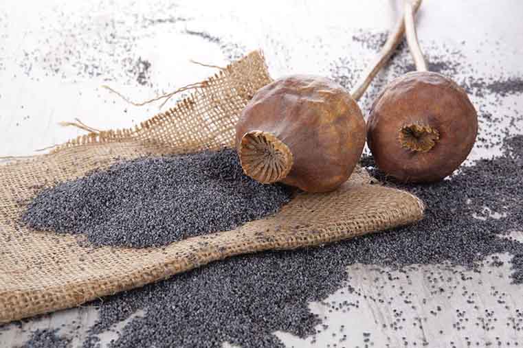 خشخاش6 فواید خشخاش | تضمین کننده طبیعی سلامت و زیبایی مو