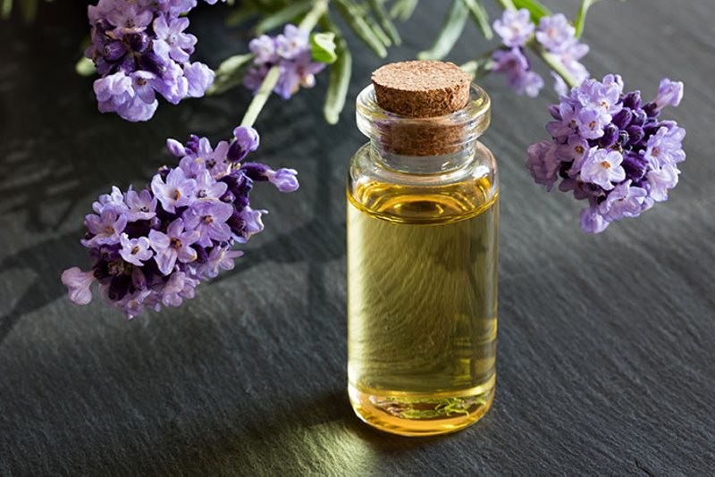 lavender oil benefits irancosmed 4 فواید روغن اسطوخودوس |خواص آن برای پوست و مو