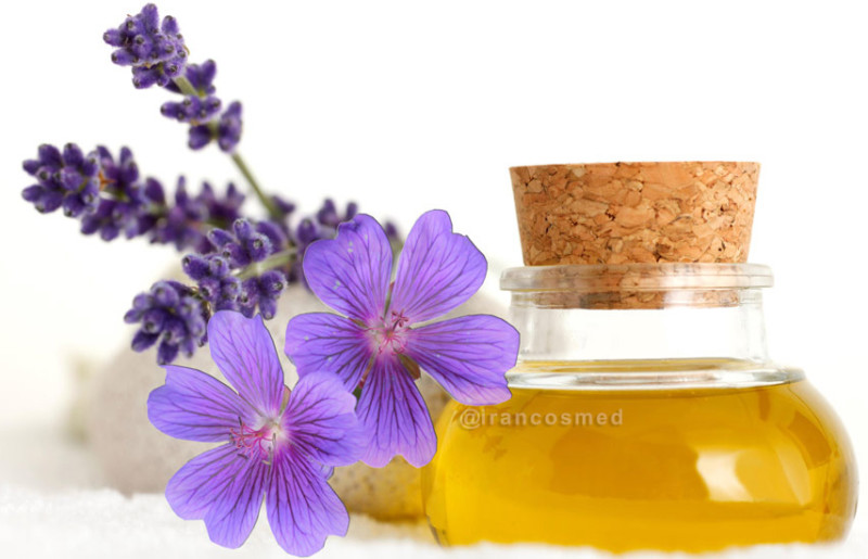 organic violet flower oil irancosmed 1 خواص روغن بنفشه | ۱۸ مورد از خواص دارویی روغن گل بنفشه چیست؟