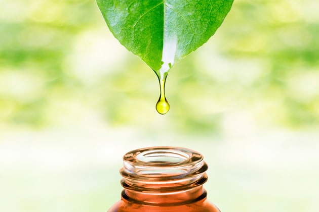 آلاله 6 فواید روغن آلاله | فواید درمانی روغن کیاه آلاله – بهمن1400