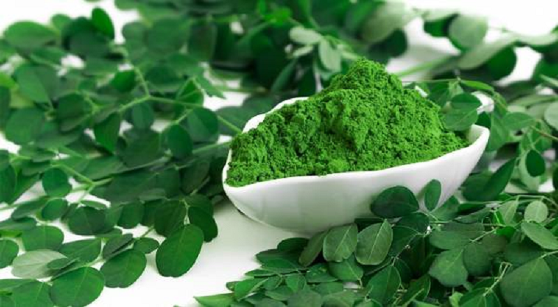 مورینگا5 خواص گیاه مورینگا | خواص مورینگا برای سلامت، زیبایی پوست و مو