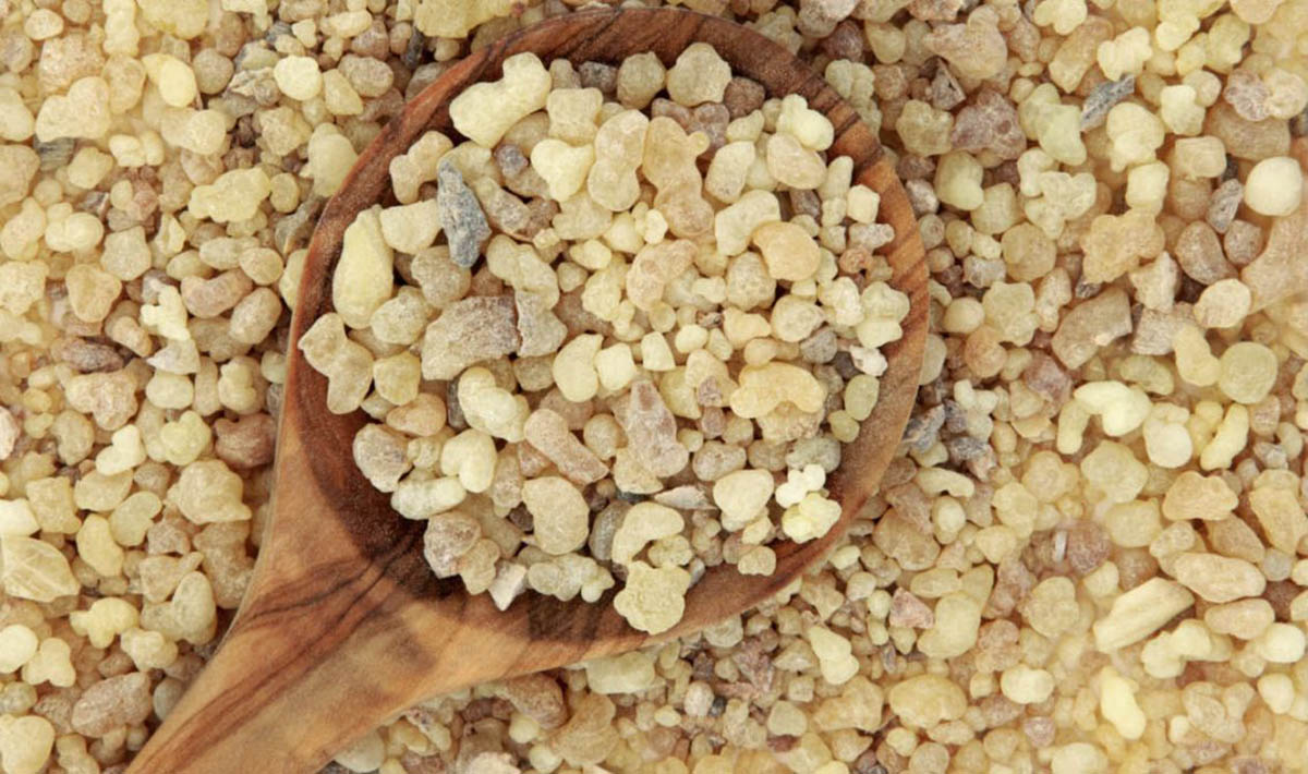 کندر7 2 فواید کندر در بهبود سلامتی | کندر را چگونه مصرف کنیم