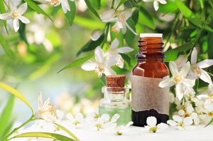 خانه 109 روغن بهارنارنج